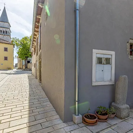Petina 3* Pićan